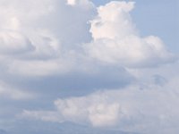 Lake Chamo, Crocodile Market