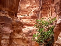 Petra - Main Entrance