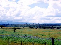 Mount Elgon