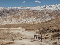 Nepal - Mustang