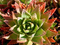 Vila Maria, Benagil, Algarve