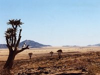 Sossusvlei
